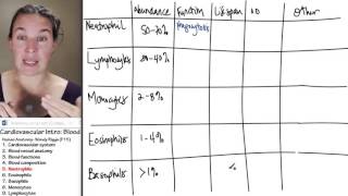 Blood 5 Neutrophils [upl. by Alket]