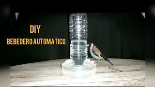 DIYbebedero automatico para aves como hacerlo en 5MINUTOS [upl. by Maryl]