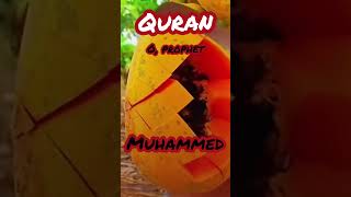 Quran❤🙏❤surah koserIslamshortsviral shorts 2024nadiakayislamiwazaiandvlog [upl. by Lubow]