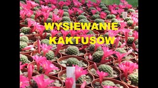 Wysiewanie kaktusów  1 [upl. by Ara39]