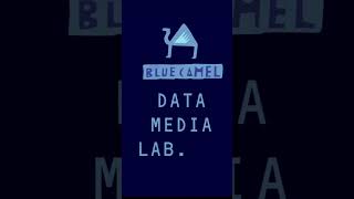 Data Media Lab Logo [upl. by Nyleaj]