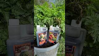 New Products From Prevegenics Are Awesome prevegenics Prevegenics growembig microbes garden [upl. by Frerichs]