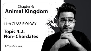 Topic 42 NonChordates Porifera to Hemichordata  Animal Kingdom11th Class Biology  Notes Given [upl. by Sancho]