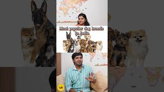 Most popular dog breeds in India 🐶🐾 BWT Biscuitswithtea tamil shorts dog pet germanshepherd [upl. by Nemzzaj583]