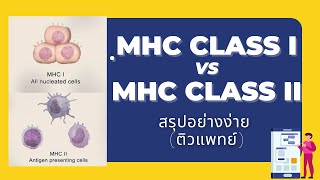 MHC class I และ MHC class II สรุปอย่างง่าย ติวแพทย์ [upl. by Nirej]