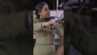 Viva Veracruz  Short  Mariachi Femenil Innovación Mexicana [upl. by Sibyls554]