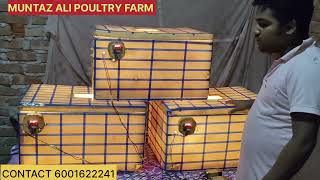 3 PEACE INCUBATOR MACHINE DELIVERY BARPETA ALL INDIA DELIVERY AVAILABLE MOBILE 6001622241 [upl. by Saxon]