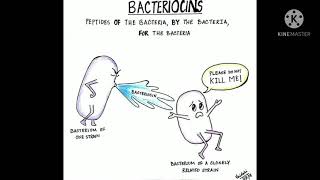 Can Bacteriocins replace Antibiotics [upl. by Ezzo]