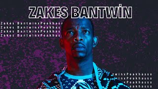 Afro House Odyssey A Musical Journey with Zakes Bantwini x Peakhasso [upl. by Spindell844]