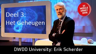 Het Brein deel 3 Prof dr Erik Scherder in De Wereld Draait Door University [upl. by Sheeran]