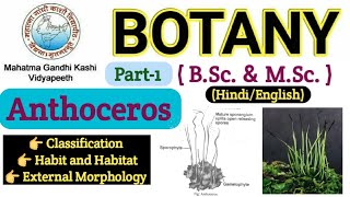 AnthocerosClassificationHabit and HabitatExternal MorphologyBSc 1st year BotanyBsc Bryophyte [upl. by Eihpos]