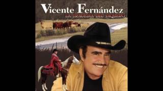 VICENTE FERNANDEZ ÉXITOS VOL 1 FULL AUDIO [upl. by Mose]