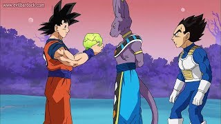 Goku le Regala Una Lechuga a Bills  Español Latino [upl. by Nyrmak]