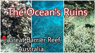 reality of diving at the GREAT BARRIER REEF [upl. by Derr935]