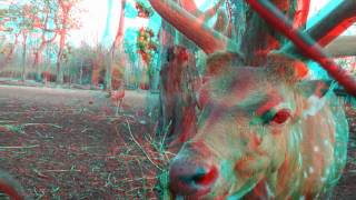 Jurassic World Anaglyph 3D Red amp Cyan Glass 100 Working 3D [upl. by Ecyak]