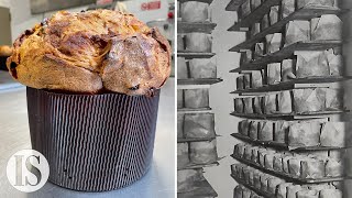 Il Panettone la ricetta milanese originale della Pasticceria Besuschio dal 1845 [upl. by Herr713]