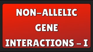 Nonallelic Gene Interactions  I [upl. by Eibocaj]