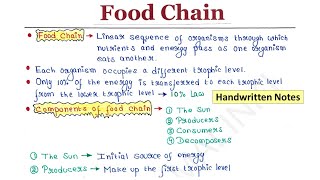 Food Chain  Components  Types  Grazing  Detritus  Handwritten notes [upl. by Anahcra]