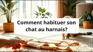 Comment habituer son chat au harnais [upl. by Cuhp787]