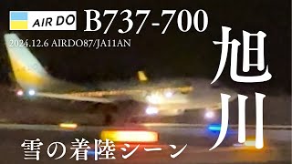 2024126 旭川空港 AIRDO87着陸の様子JA11 AN 旭川空港 airdo [upl. by Down]