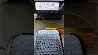 XHDATA D220 Compared to Yaesu FT891 on 16 Meter Band shortwave xhdata swl short [upl. by Enywad]