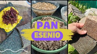 pan esenio esenios alimentacionviva desidratadordealimentos raw rawfood alimentacionsaludable [upl. by Yessydo]