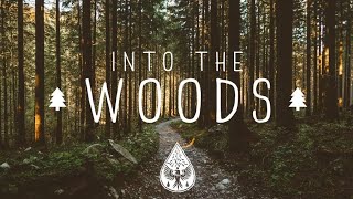 Into The Woods 🌲  A Mysterious FolkPop Playlist [upl. by Rebah]