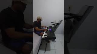 Futricar na moita Donatelli teclado musica [upl. by Biancha]