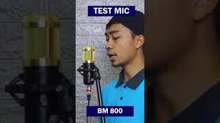 Test Mic BM 800 [upl. by Biddle]