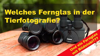 Welches Fernglas in der Tierfotografie UND Ein Fernglas mit Bildstabi  braucht man sowas [upl. by Aenyl461]