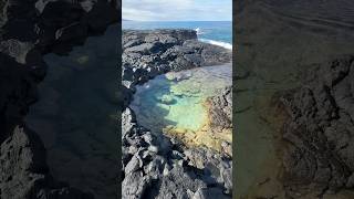 Tide Pool Treasure Hunt Real Life Moana 2 [upl. by Agnola]