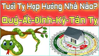 Tuổi TỴ Hợp HƯỚNG Nào Hướng Nhà Hợp Tuổi Tỵ Tuổi Quý Tỵ Ất Tỵ Đinh Tỵ Kỷ Tỵ Tân Tỵ [upl. by Nnairam]