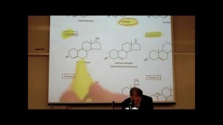 PHARMACOLOGY ACTIONS amp USES OF CORTICOSTEROIDS by Professor Fink [upl. by Bander]