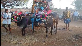 శ్రీ గంగమ్మ తల్లి జాతర కృష్ణాపురం gangamma thalli jatara  bonalu  parasa  gangamma parasa [upl. by Lemmy]