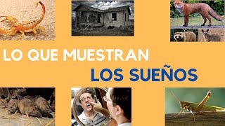 🤜Seminario de Interpretación sueños💩QUÉ SIGNIFICA SOÑAR CON Ratas Casa Viejas Zorra Langosta [upl. by Winchester]