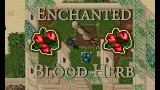 MEDIVIA  How to change Blood Herb Color  Blood Herb Quest [upl. by Convery]