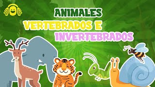 ANIMALES VERTEBRADOS E INVERTEBRADOS para niñosVídeo educativo para niños [upl. by Eulalie370]