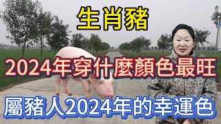 生肖屬相豬！屬豬人在2024年穿什麼顏色最旺？生肖屬豬人2024年幸運色是什麼！本期視頻講述2024生肖豬！運勢 顏色 風水 2024 [upl. by Matthieu]