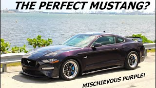 2023 Mischievous Purple Mustang GT Quick Walkaround [upl. by Satterfield]