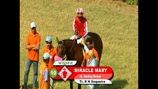 Miracle Mary with Akshay Kumar up wins The Mossy Bank Plate 2023 [upl. by Yzdnil894]