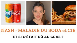 🤒 NASH stéatose hépatique foie gras maladie du soda  Le sucre n’est pas le responsable  🤒 [upl. by Moina262]