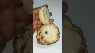 New custard apple fruit carving ideas trendingfruitcarving youtubeshortsshorts viralsatisfying [upl. by Akimrehs]