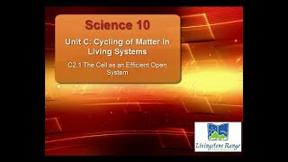 S10 C2 1 The Cell as an Efficient Open System [upl. by Pris]