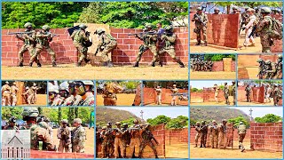 Exercise Tiger TRIUMPH Bilateral Training with US Marines and Indian Service Members [upl. by Nnylatsyrc]