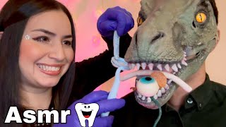 Asmr  Doces no dente do Jacaré [upl. by Lorrin]