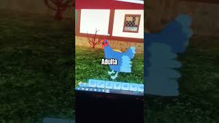 Ciclo de vida fofinha descanse em paz fofinha 😭robloxfeatherfamilyfofinha [upl. by Flore876]