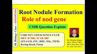 Root Nodule Formation  Role of nod Gene CSIRNET GATE ICMR IITJAM ICAR MSC BSC [upl. by Krum]