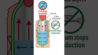 How thermos flask works shorts thermos whatisinside [upl. by Capriola]