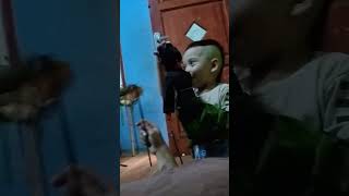 Cepot nyanyi lagu bohong ah shortvideo fypyoutube fypviral wayanggolek dalangcilik sabdapalon [upl. by Cardie]