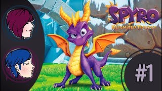 Spyro Reignited Trilogy  Episode 1 quotSo Prettyquot PS4 Full Gameplay Walkthrough [upl. by Arolf]